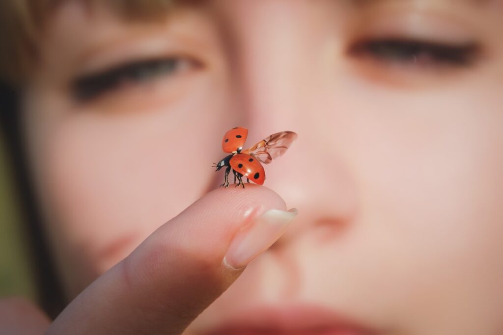 Ladybug et chat noir